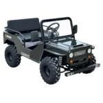 Massimo Minis 125 Go Karts 125cc 9hp - Image 8