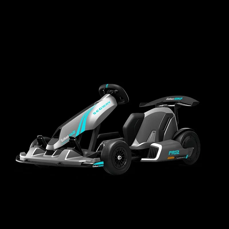 1-334-1.webp Segway GoKarts Pro 2 - Image 1