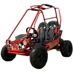 1-340-1.webp Trailmaster Mini XRX+ 2- Seater GO-KART EAGLE SERIES 163cc Blues. - Image 1