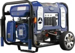 Ford 11,050 Watt Dual Fuel Portables Generators FG11050PBE - Image 3