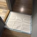 PETSWORLD Extra Large Potty Pads for Dogs, Odor Eliminating 30″ x 36″, 150 Count Pee Pads for Dogs, Gigantic XL Dog Pads, 5 Layer Ultra Absorbent Technology, Leak Proof Training Pads for Dogs & Cats - Image 2
