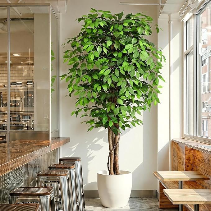 811A5oMHUxL._AC_SX679_.jpg 7ft Large Ficus Artificial Trees with Natural Curved Trunks, 84″ Tall Lush Faux Tree for Home Decor Indoor, Green Lifelike Fake Ficus Tree Artificial Plants in Pot(Set of 2) - Image 1
