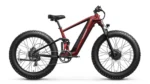 PUCKIPUPPY GoldenR Dual-Motor E-Bikes.