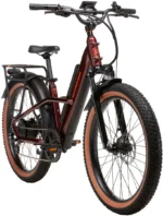 Rad Power Bikes Radsters Trail Electric Off-Road Bikes - Image 2