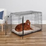 MidWest Homes for Pets 42-Inch iCrate for Large Breeds, 71-90 lbs, Double Door Folding Dog Crate with Divider Panel, Leak-Proof Tray & Secure Latches, Portable, Durable & Easy to Assemble - Image 3