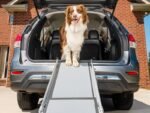 PetSafe Happy Ride Compact Telescoping Dog Ramp – Portable Pet Ramp for Cars, Trucks & SUVs with Adjustable Sizing – Non-Slip Design – Lightweight Pet Mobility Assistance – Extra Long - Image 3