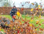 Echo PB-7910T Backpacks Leaf Blower - Image 3