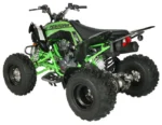 Vitaccii Pentora Racing ATV