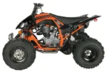 Vitaccii Pentora Racing ATV - Image 3