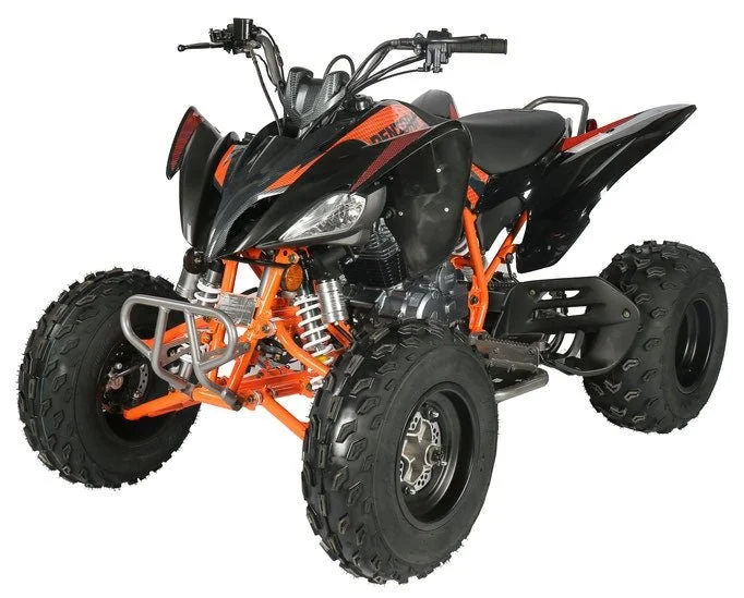 reg1-2.webp Regency PRO Ultra Sports 250cc ATV - Image 1
