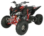 Regency PRO Ultra Sports 250cc ATV - Image 2