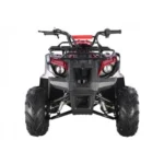 Tao Motors D125 Kids ATVs - Image 3