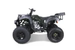 Taotao 250 Rhiino Adult Utility ATV - Image 3