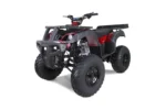 Taotao 250 Rhiino Adult Utility ATV - Image 2