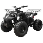 Tao T Forcee T125 Mid Size ATV