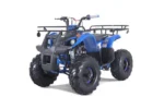 TaoTao T-Force T125 4-Wheeler All-Terraiin Vehicle ATV - Image 4