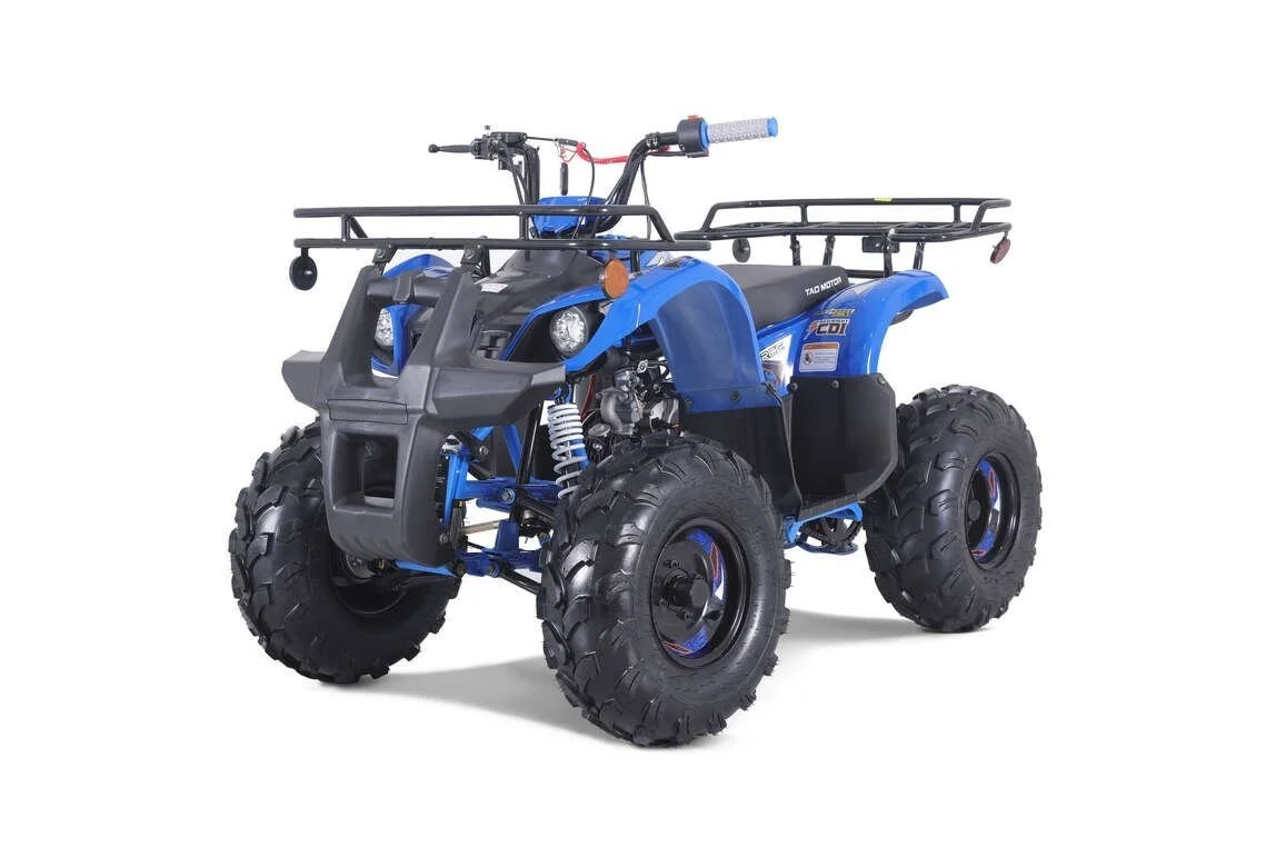TaoTao T-Force T125 4-Wheeler All-Terraiin Vehicle ATV