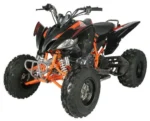 Vitaccii Pentora Racing ATV - Image 3